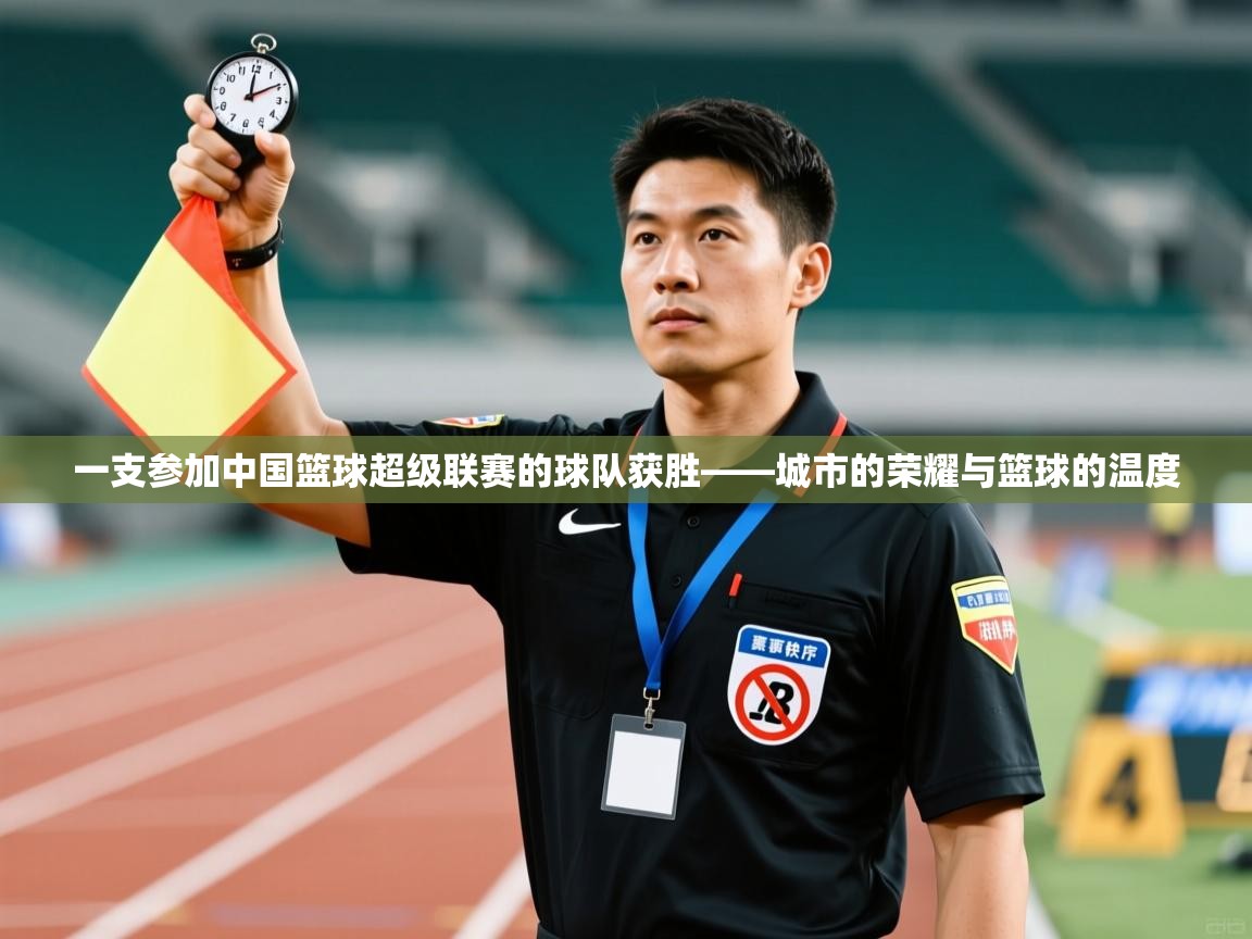 一支参加中国篮球超级联赛的球队获胜——城市的荣耀与篮球的温度  第1张