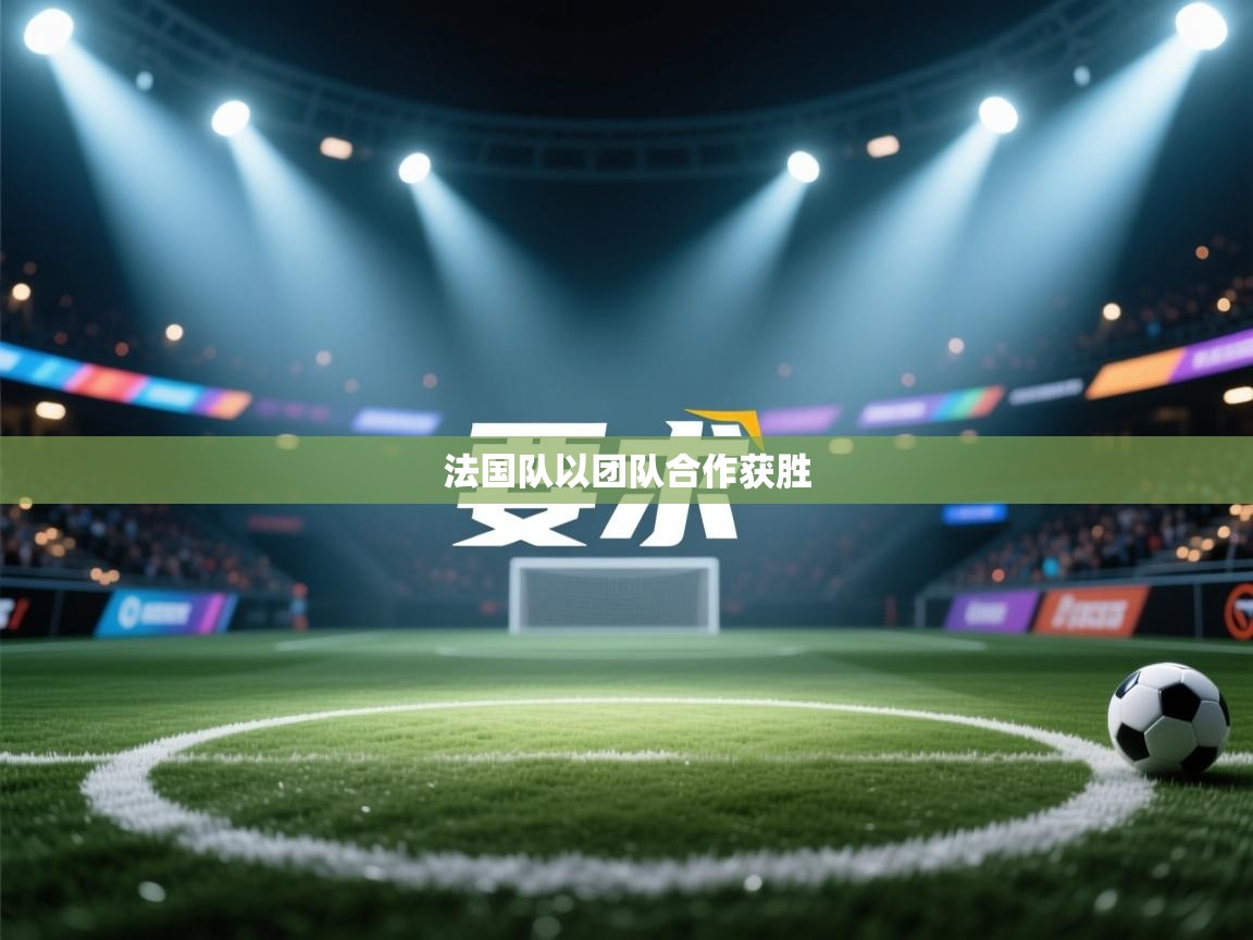 法国队以团队合作获胜  第2张