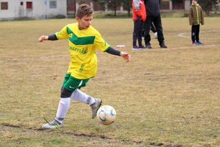 米乐体育官网-瑞典淘汰意大利，成功进军四强，瑞典淘汰意大利,成功进军四强